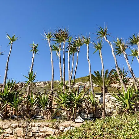 Villa Sea Life House